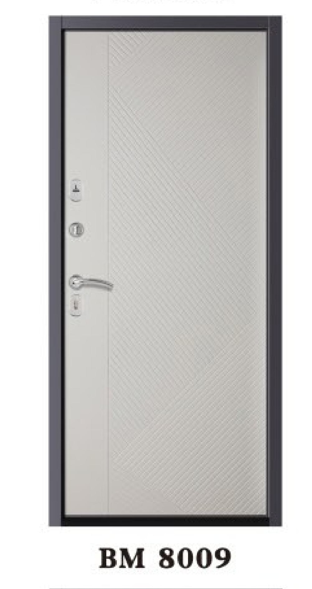 BM8009